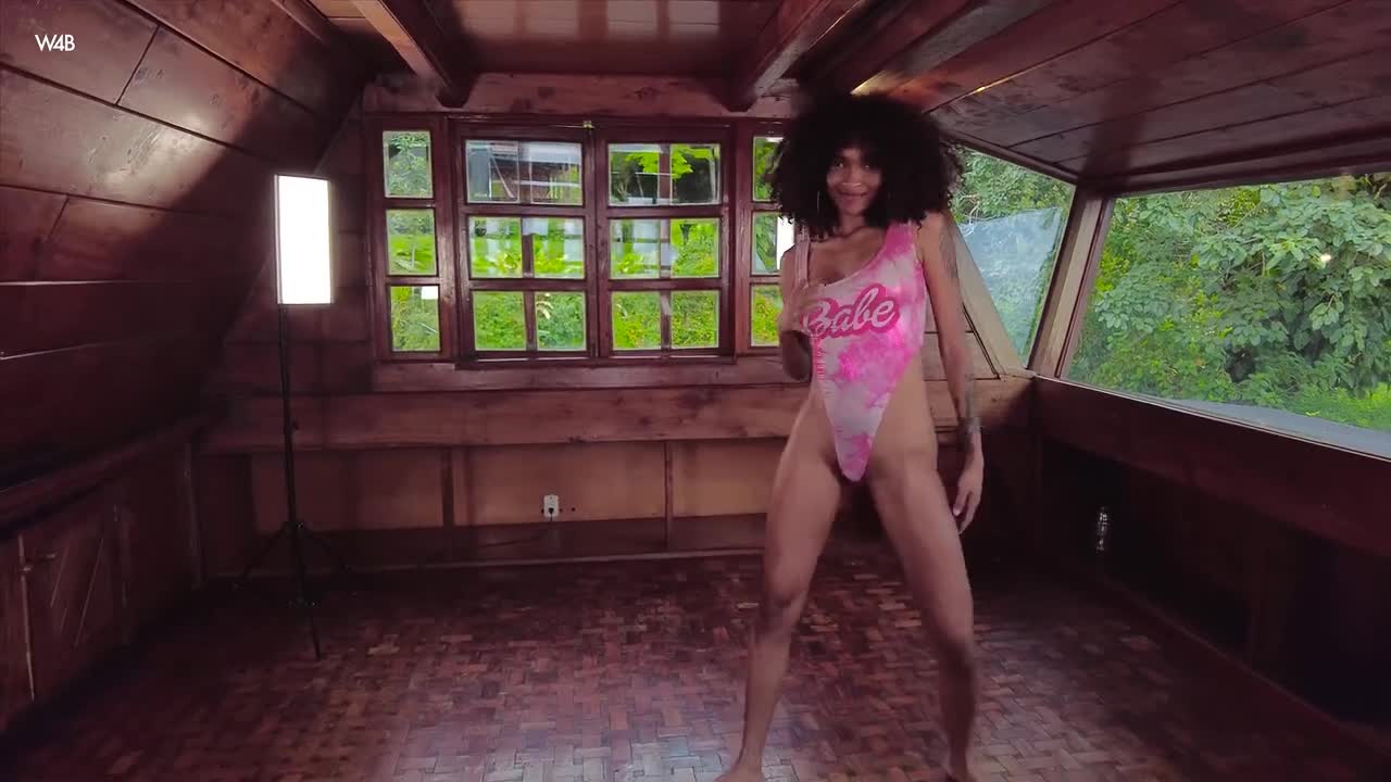 WatchBeauty Barbie Dirty Dancing - Porn video | ePornXXX