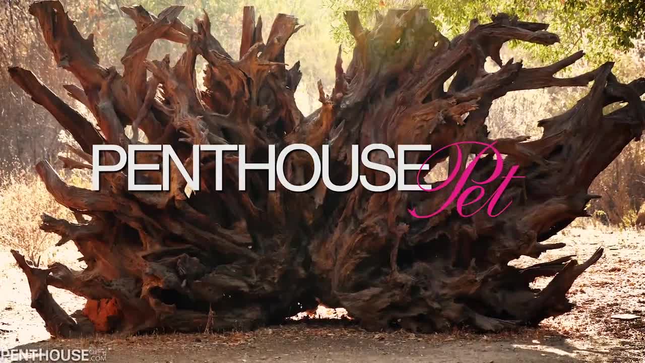 PenthouseGold Hanna Carter Pet Of The Month November - Porn video | ePornXXX