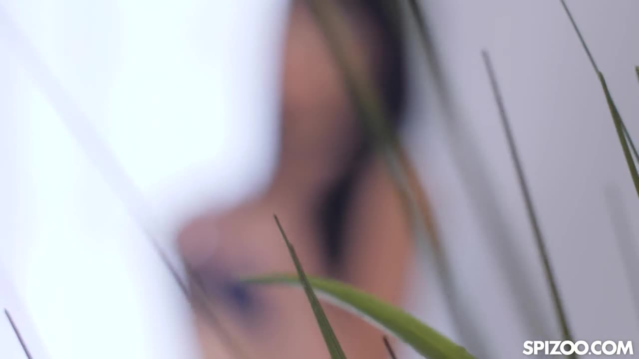 Spizoo Judy Jolie Sexy Latina Amazing Blowjob - Porn video | ePornXXX