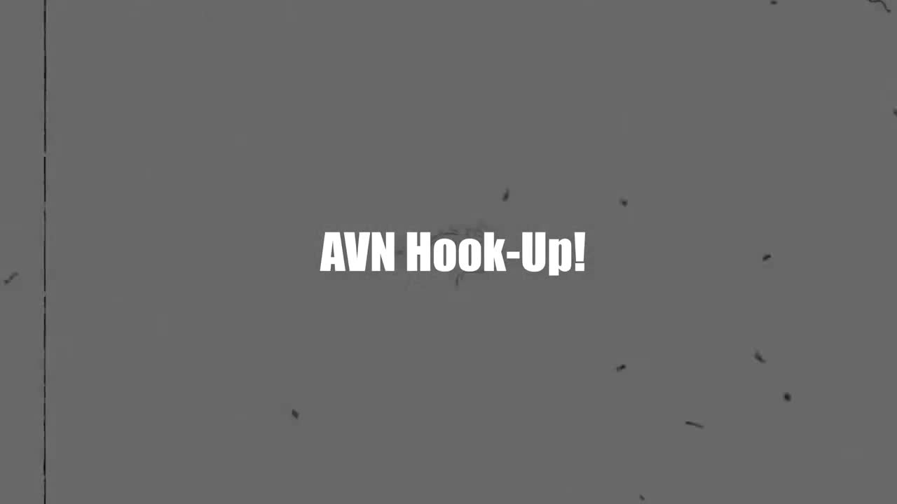MrPOV Laney Grey AVN HookUp - Porn video | ePornXXX